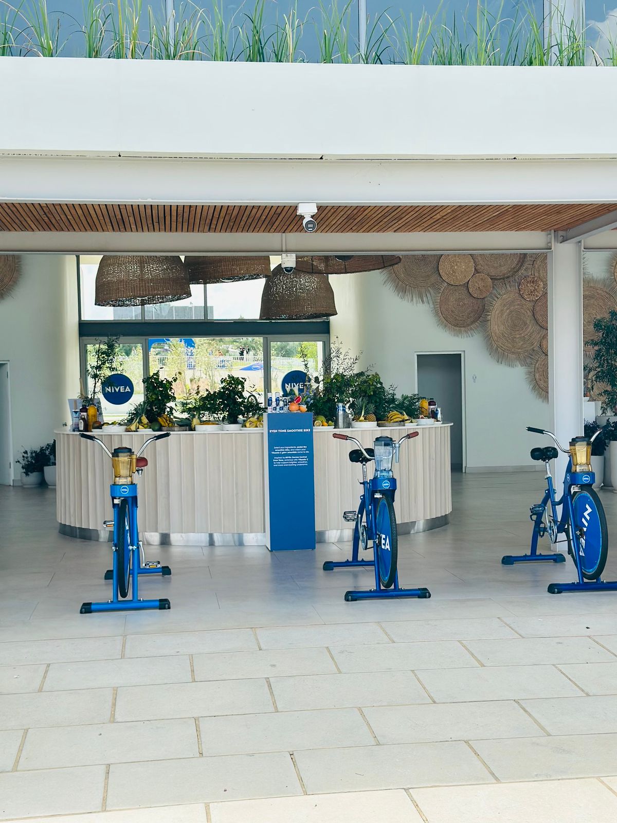 Mobile Wellness Co. corporate wellness day activation